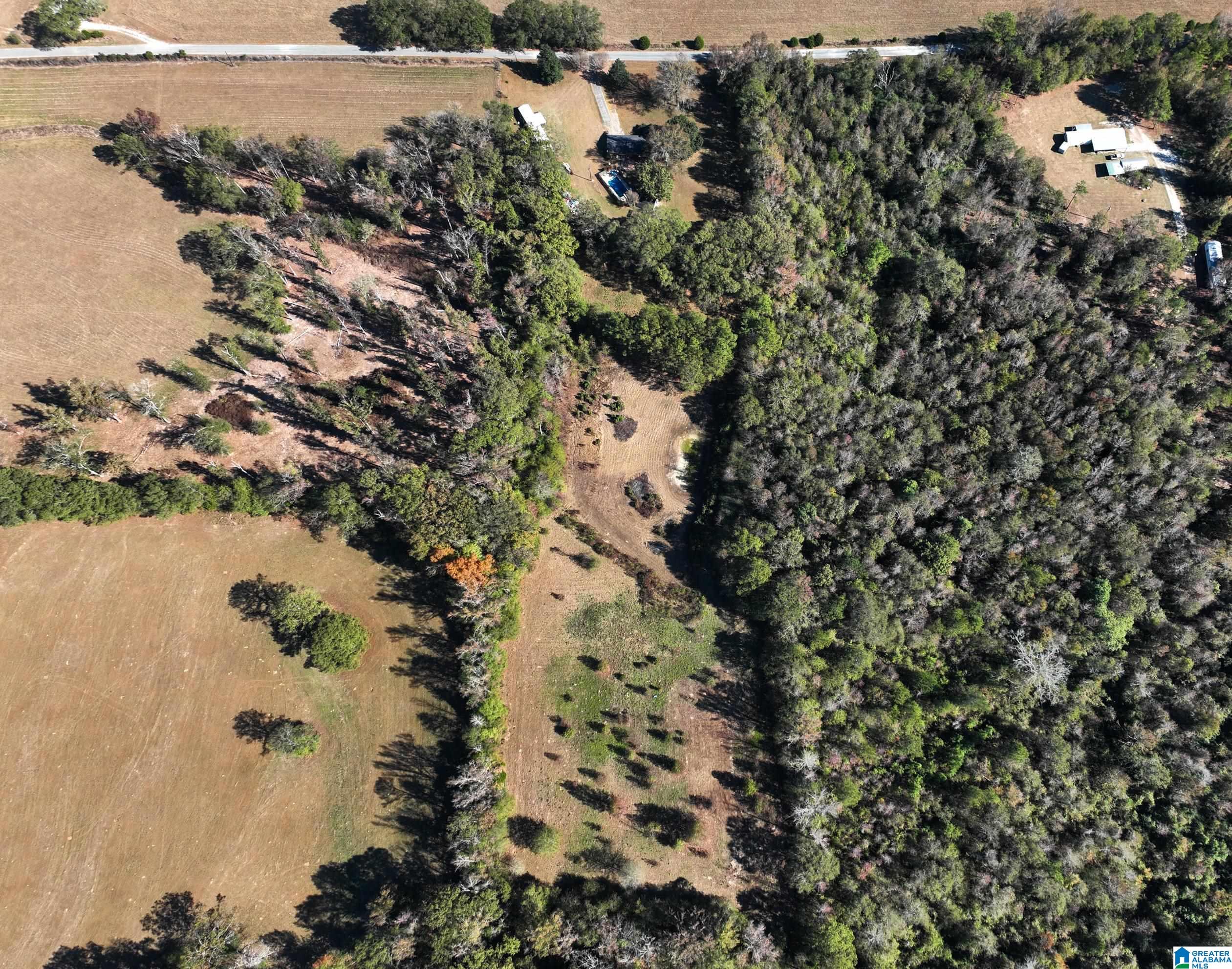 733 County Road 511 Verbena, AL 36091 - Photo 4 of 29