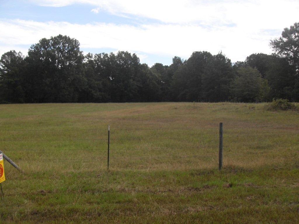 0 Mistletoe Road Appling, GA 30802 - Photo 2 of 4
