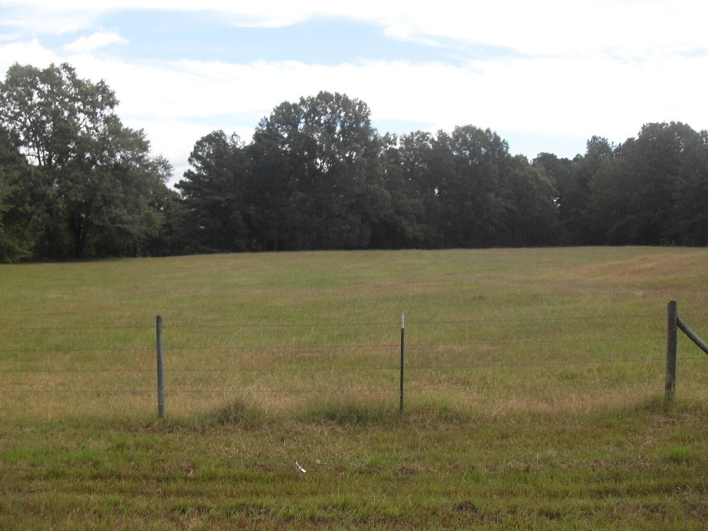 0 Mistletoe Road Appling, GA 30802 - Photo 3 of 4