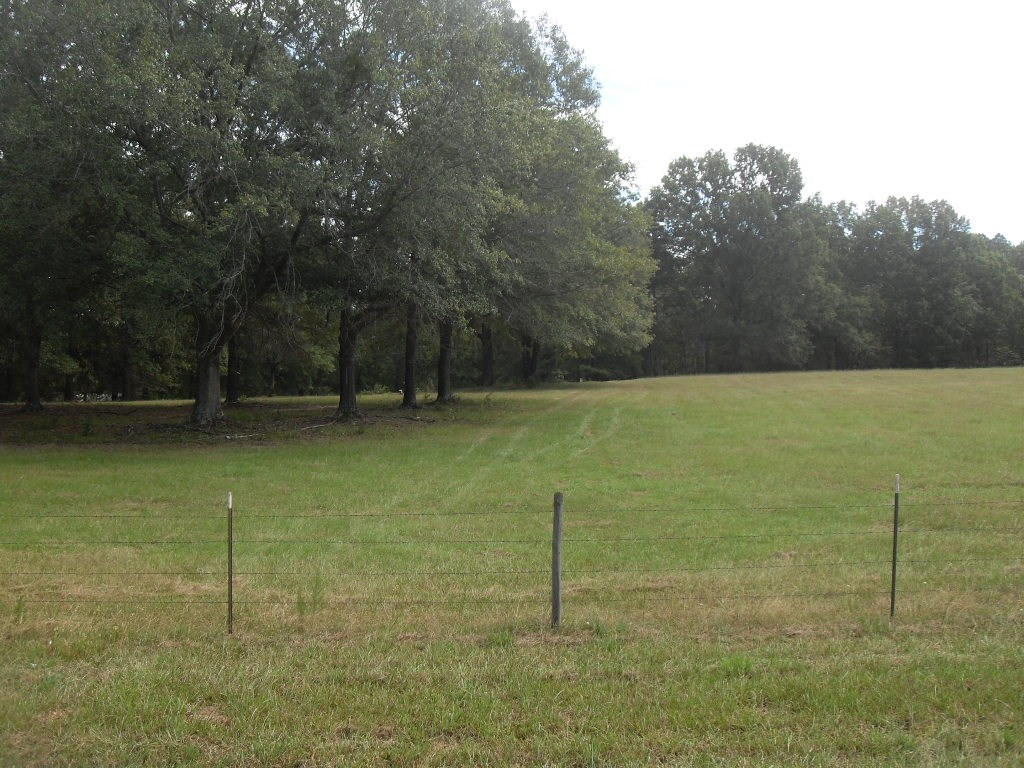 0 Mistletoe Road Appling, GA 30802 - Photo 4 of 4