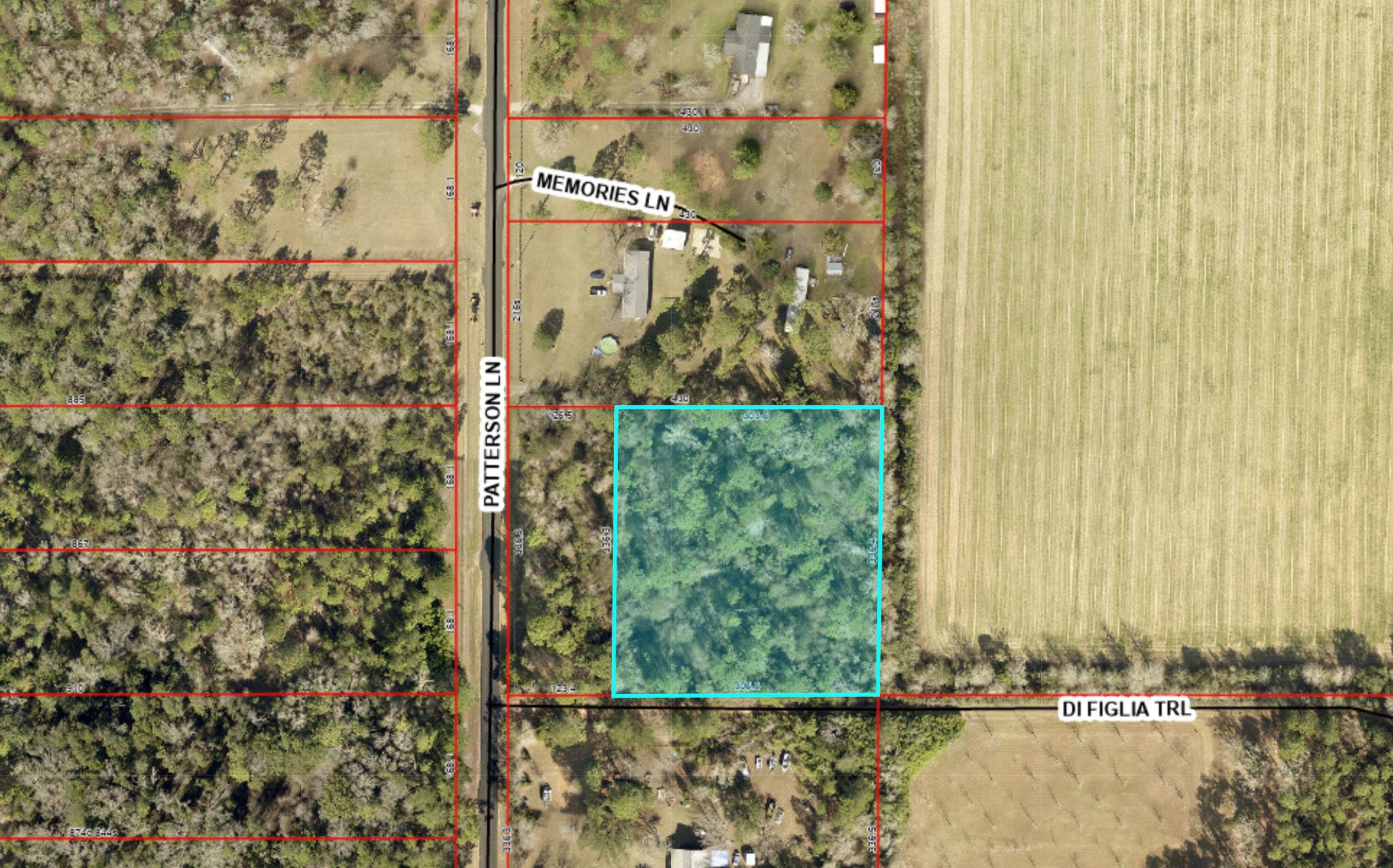 0 Patterson Lane Elberta, AL 36530 - Photo 4 of 6