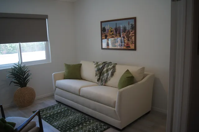 a workspace with furniture and a potted plant