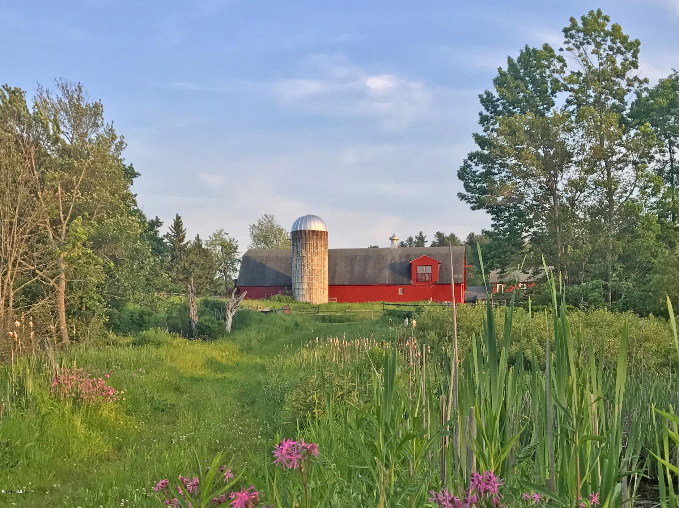 1286 Monterey Road Otis, MA 01253 - Photo 1 of 43 a green field with lots of trees in the background