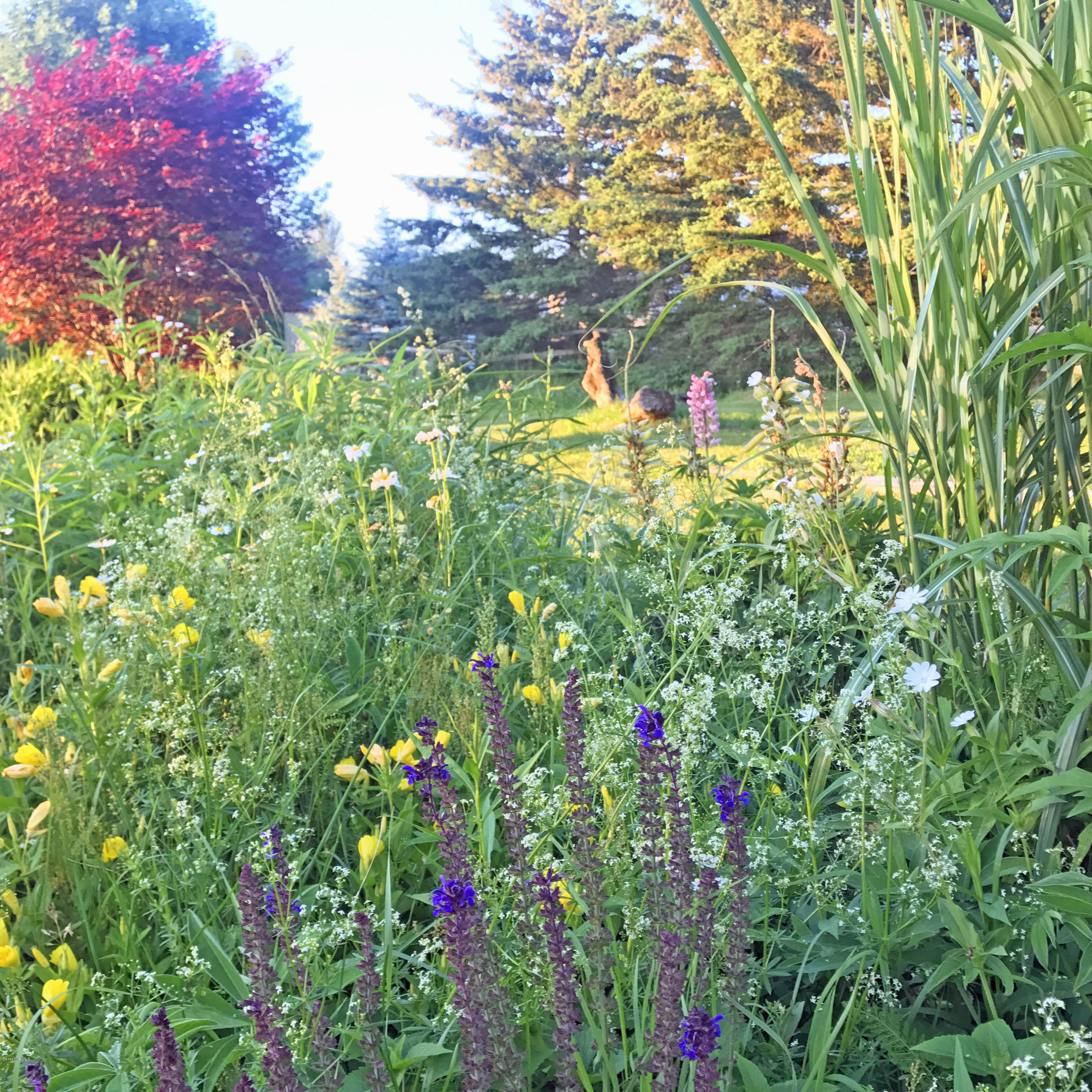 1286 Monterey Road Otis, MA 01253 - Photo 33 of 43 a view of yard with flower and trees