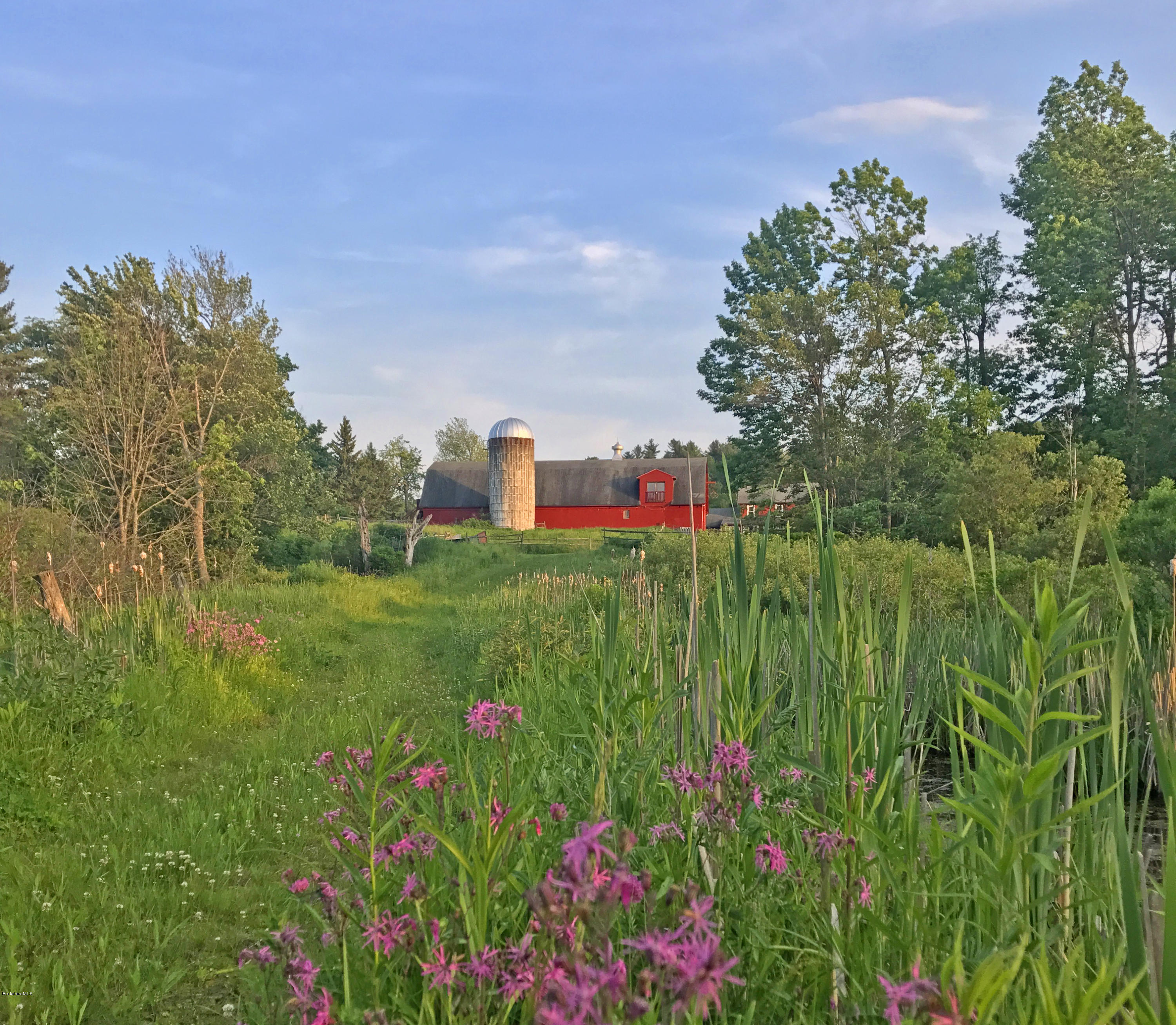 1286 Monterey Road Otis, MA 01253 - Photo 42 of 43 a view of a houses with a yard and garden