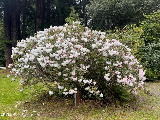 $745,000 | 19701 Noyo Acres Drive, Fort Bragg, CA 95437