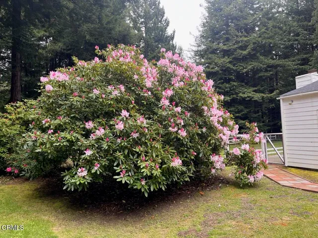 $745,000 | 19701 Noyo Acres Drive, Fort Bragg, CA 95437