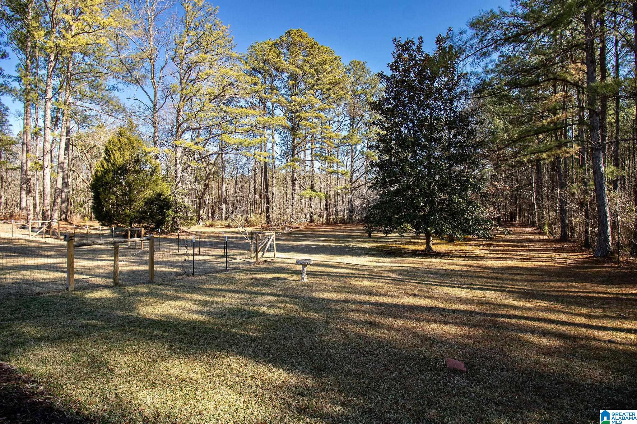 1809 Blue Ridge Road Lineville, AL 36266 - Photo 59 of 69