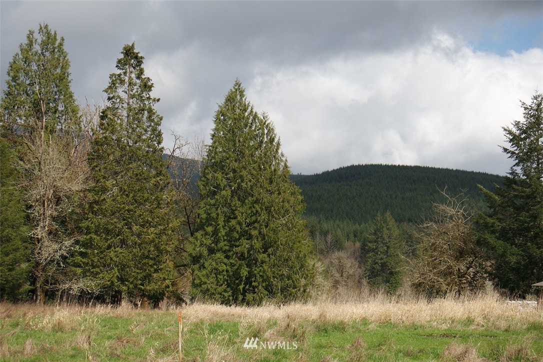 5134 Nesbit Road Kelso, WA 98626 - Photo 1 of 25 Gallery Image 1