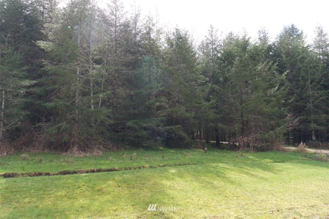 5134 Nesbit Road Kelso, WA 98626 - Photo 17 of 25 Gallery Image 17