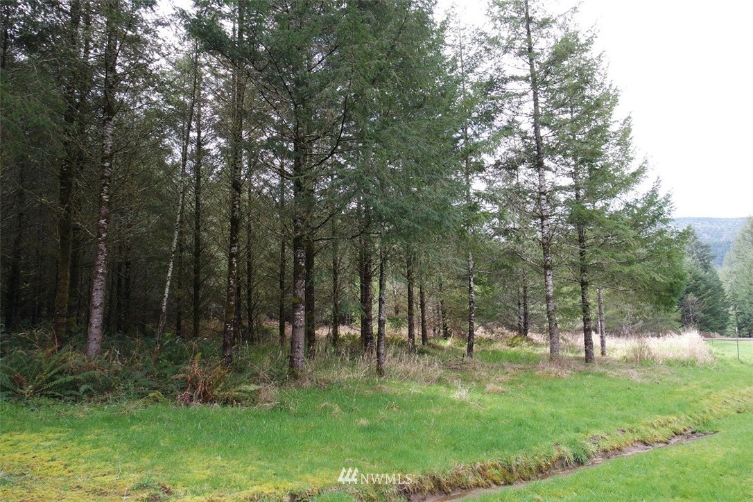 5134 Nesbit Road Kelso, WA 98626 - Photo 19 of 25 Gallery Image 19