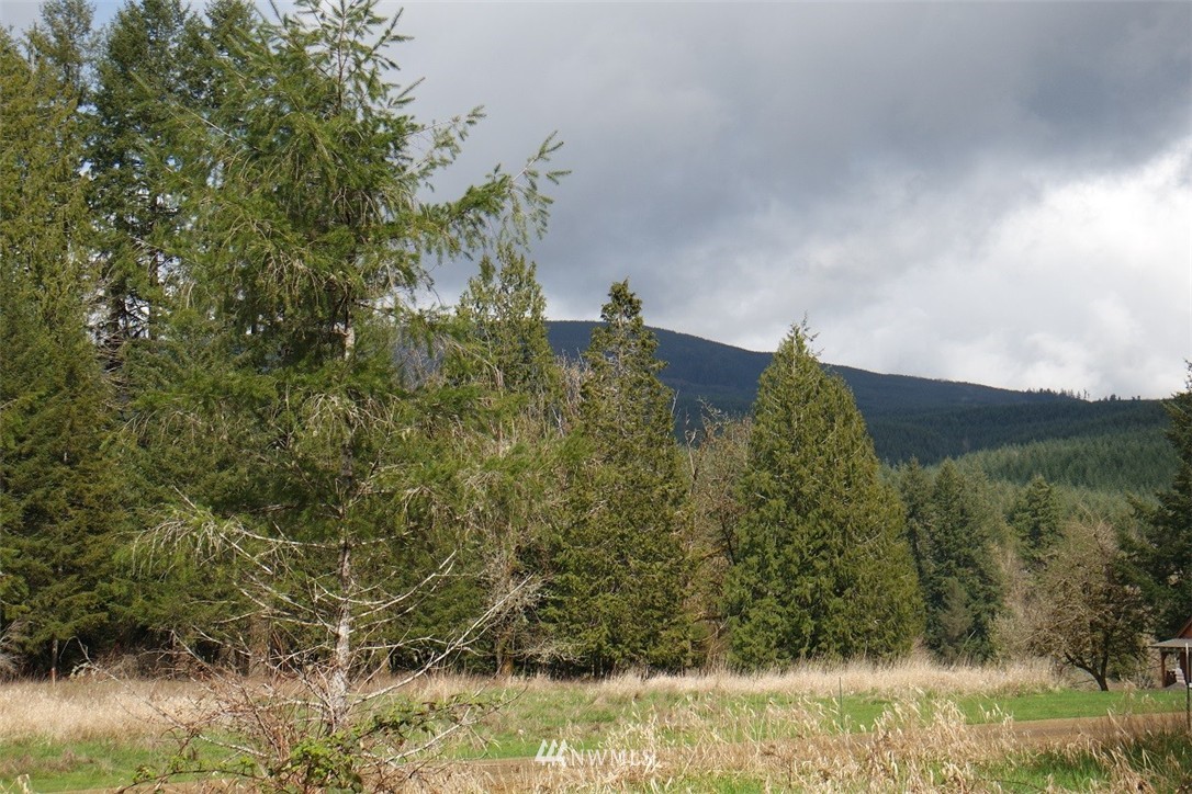 5134 Nesbit Road Kelso, WA 98626 - Photo 9 of 25 Gallery Image 9