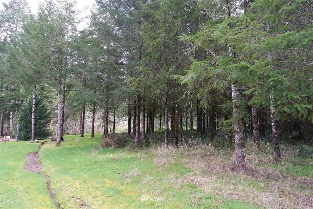5134 Nesbit Road Kelso, WA 98626 - Photo 10 of 25 Gallery Image 10