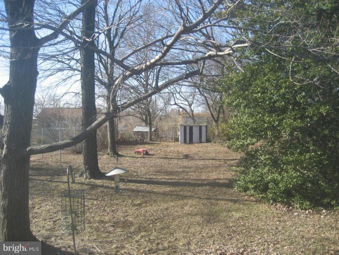 8710 Edmonston Road Berwyn Heights, MD 20740 - Photo 4 of 13 a view of park with tree
