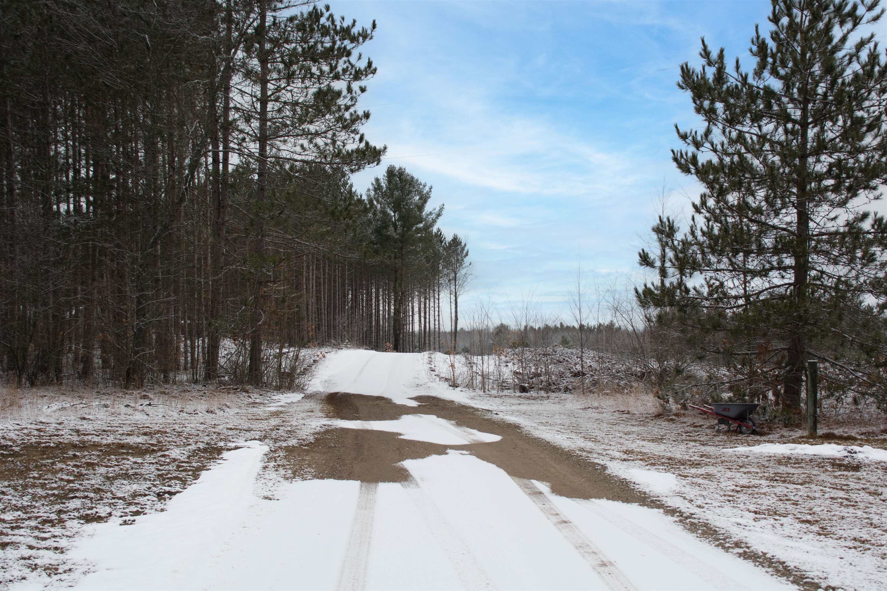 5203 Pierce Road Kingsley, MI 49649 - Photo 42 of 52