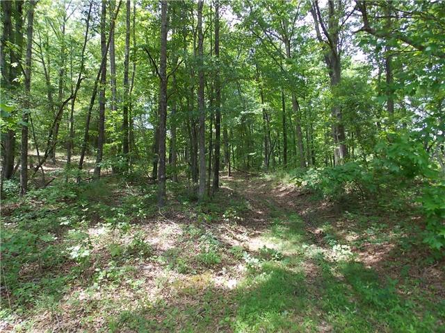 834 Raymond Ballenger Road Parsons, TN 38363 - Photo 11 of 12 Gallery Image 11