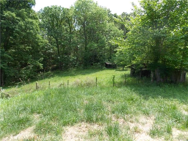 834 Raymond Ballenger Road Parsons, TN 38363 - Photo 3 of 12 Gallery Image 3