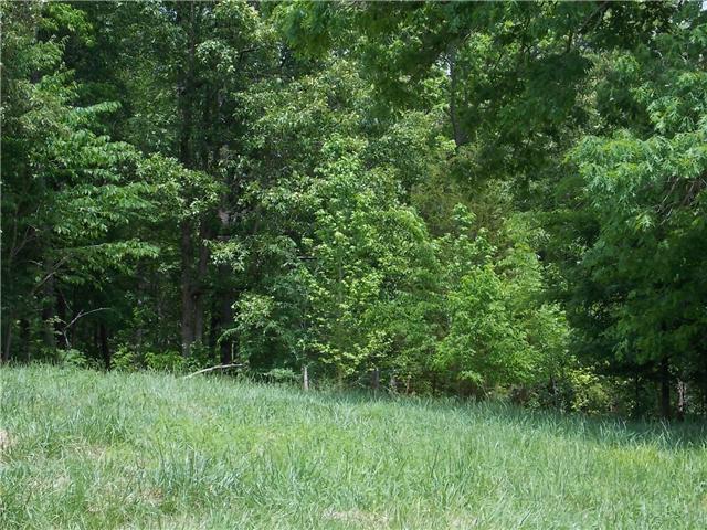 834 Raymond Ballenger Road Parsons, TN 38363 - Photo 4 of 12 Gallery Image 4