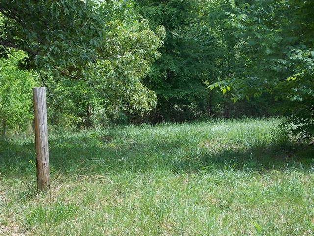 834 Raymond Ballenger Road Parsons, TN 38363 - Photo 6 of 12 Gallery Image 6