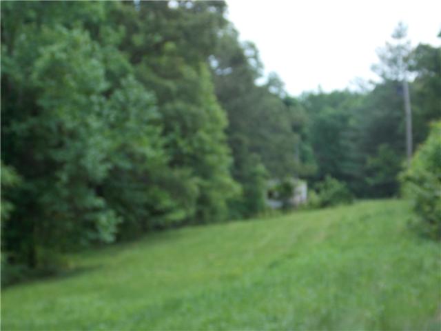 834 Raymond Ballenger Road Parsons, TN 38363 - Photo 9 of 12 Gallery Image 9
