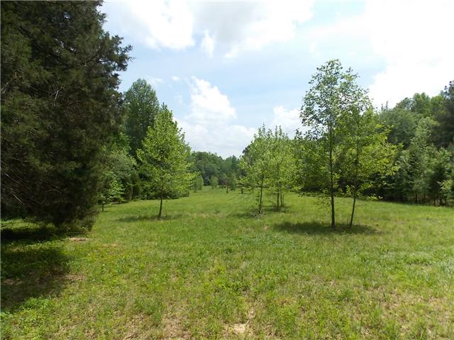 834 Raymond Ballenger Road Parsons, TN 38363 - Photo 10 of 12 Gallery Image 10