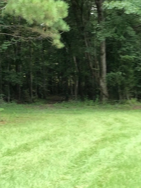 5683 Valley Road, Unit 5683 Meridian, MS 39307 - Photo 11 of 19 Photo 11