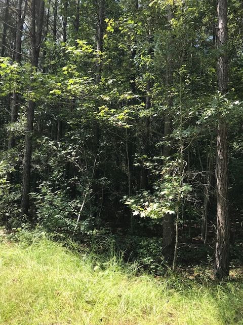 5683 Valley Road, Unit 5683 Meridian, MS 39307 - Photo 6 of 19 Photo 6