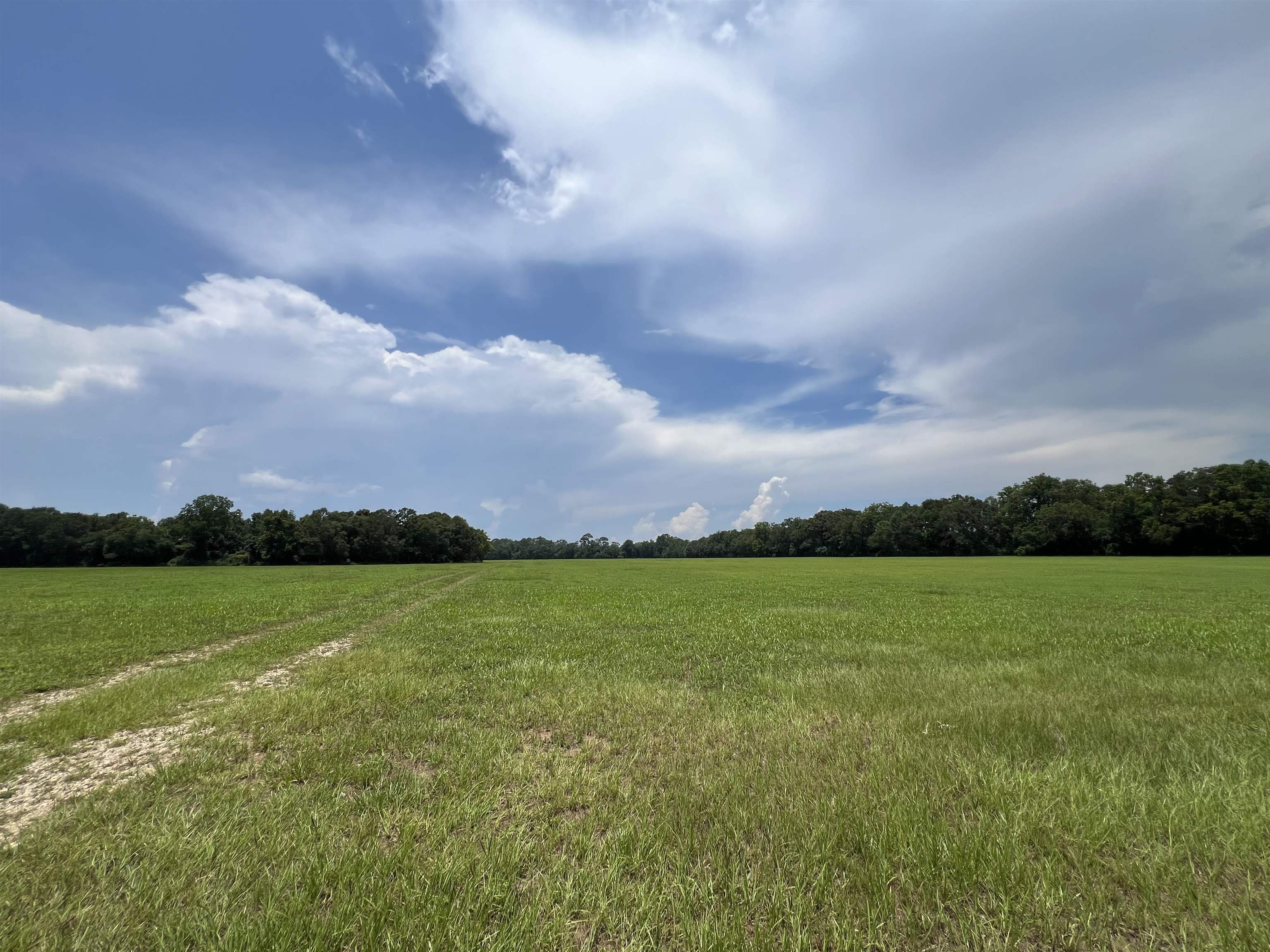 Xx Xx Max Herrin Road Quincy, FL 32352 - Photo 30 of 46