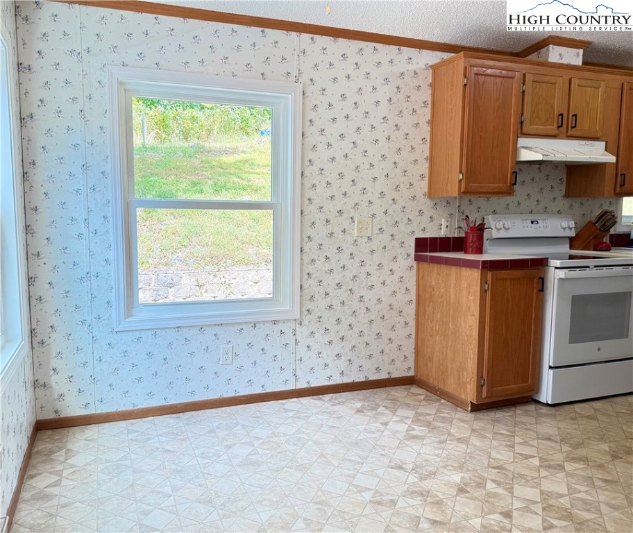 304 The Mulberry Cove Road Boone, NC 28607 - Photo 16 of 45 a view of a kitchen with wooden floor and cabinets