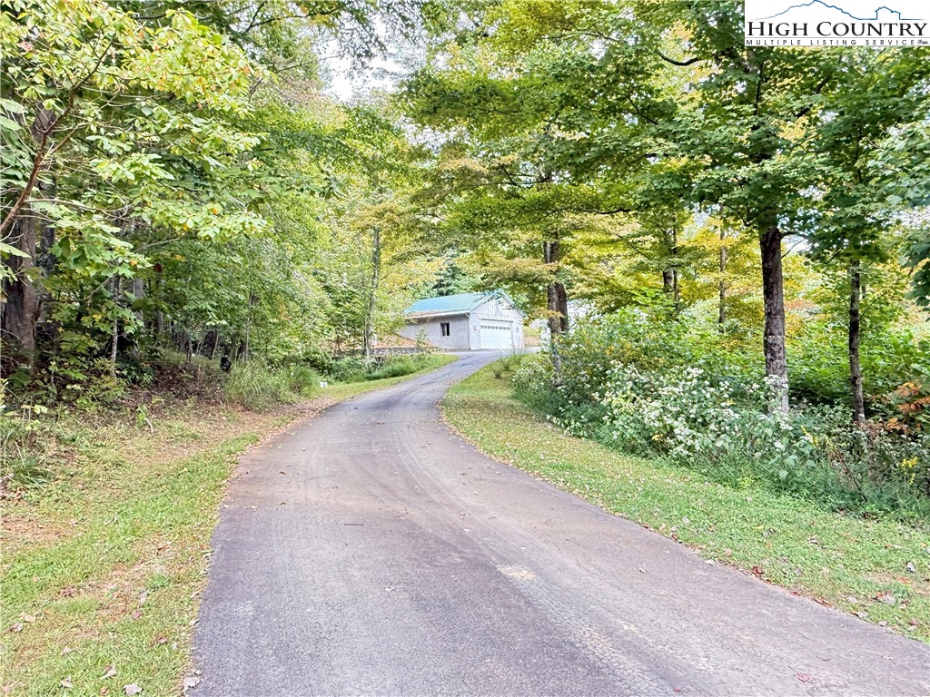 304 The Mulberry Cove Road Boone, NC 28607 - Photo 29 of 45 a view of a yard with plants and a trees