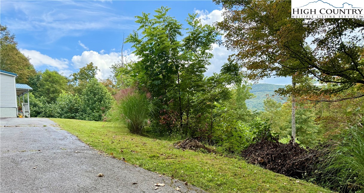 304 The Mulberry Cove Road Boone, NC 28607 - Photo 32 of 45 a view of a yard with plants and a tree