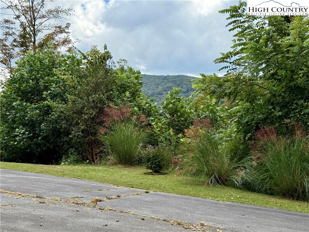 304 The Mulberry Cove Road Boone, NC 28607 - Photo 38 of 45 a view of a yard