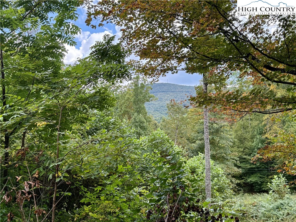 304 The Mulberry Cove Road Boone, NC 28607 - Photo 39 of 45 a view of a garden with plants and large trees