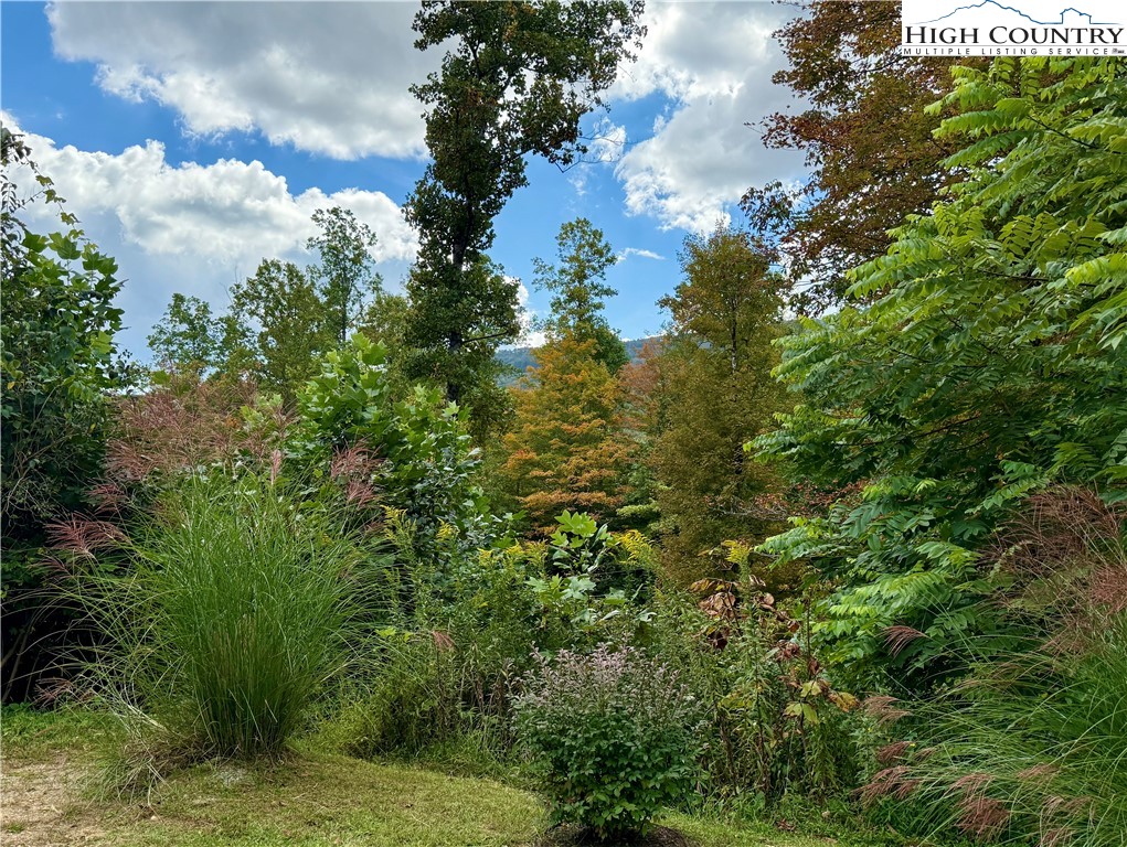 304 The Mulberry Cove Road Boone, NC 28607 - Photo 40 of 45 a view of a bunch of trees