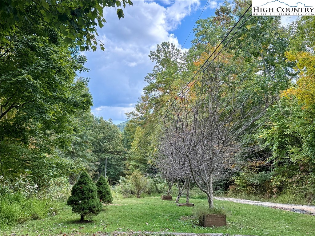 304 The Mulberry Cove Road Boone, NC 28607 - Photo 45 of 45 a view of a garden