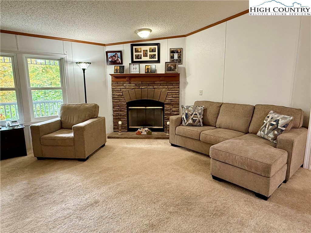 304 The Mulberry Cove Road Boone, NC 28607 - Photo 6 of 45 a living room with furniture and a fireplace