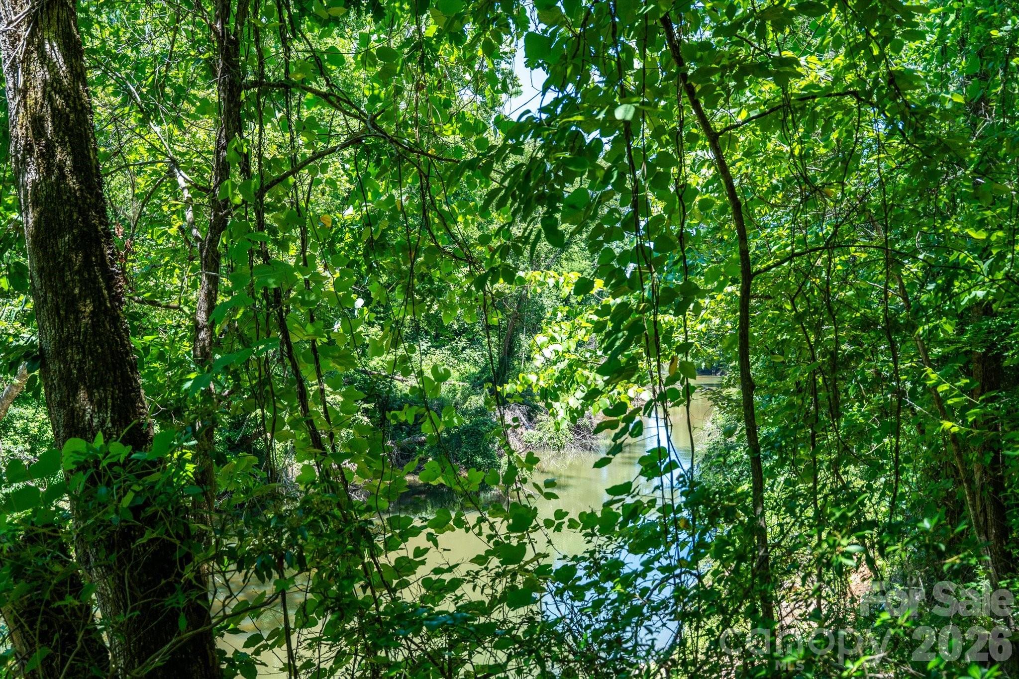 99999 Thompson Lake Road Rutherfordton, NC 28139 - Photo 11 of 24