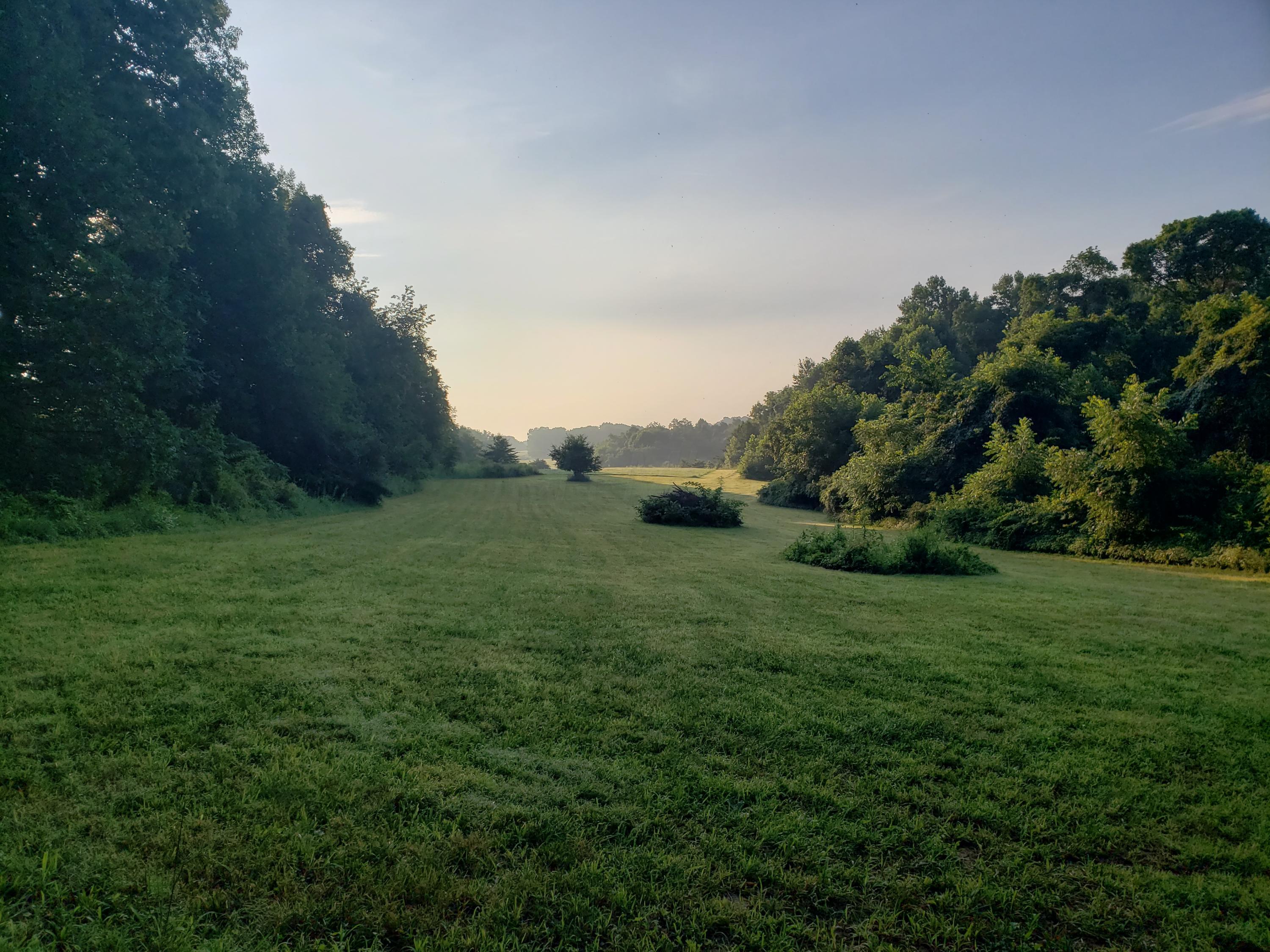 0 Mt Zwingli Road Southeast Bremen, OH 43107 - Photo 3 of 4