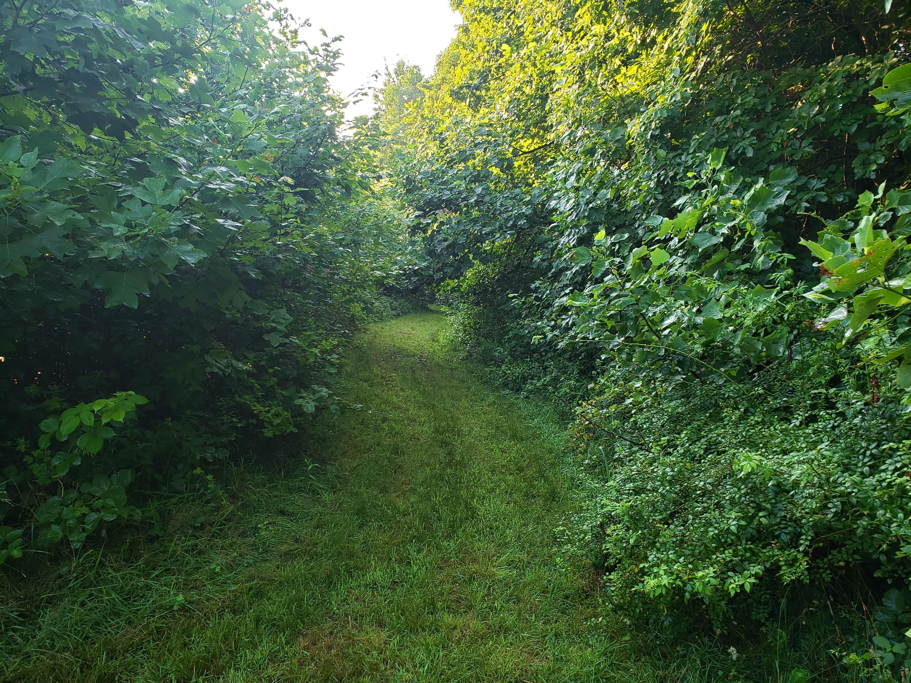 0 Mt Zwingli Road Southeast Bremen, OH 43107 - Photo 4 of 4