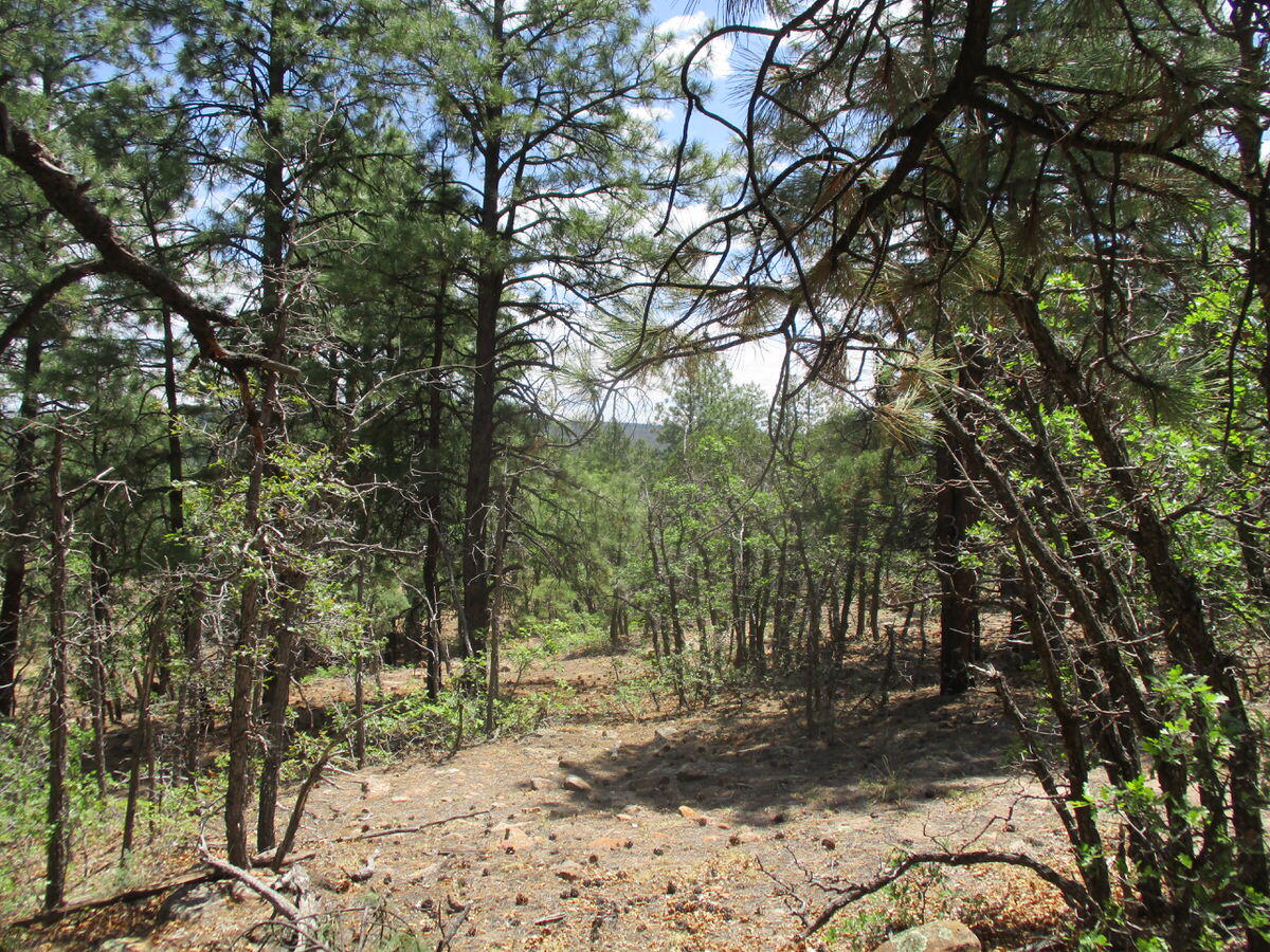 157 Forest Road Ramah, NM 87321 - Photo 19 of 71 Gallery Image 19