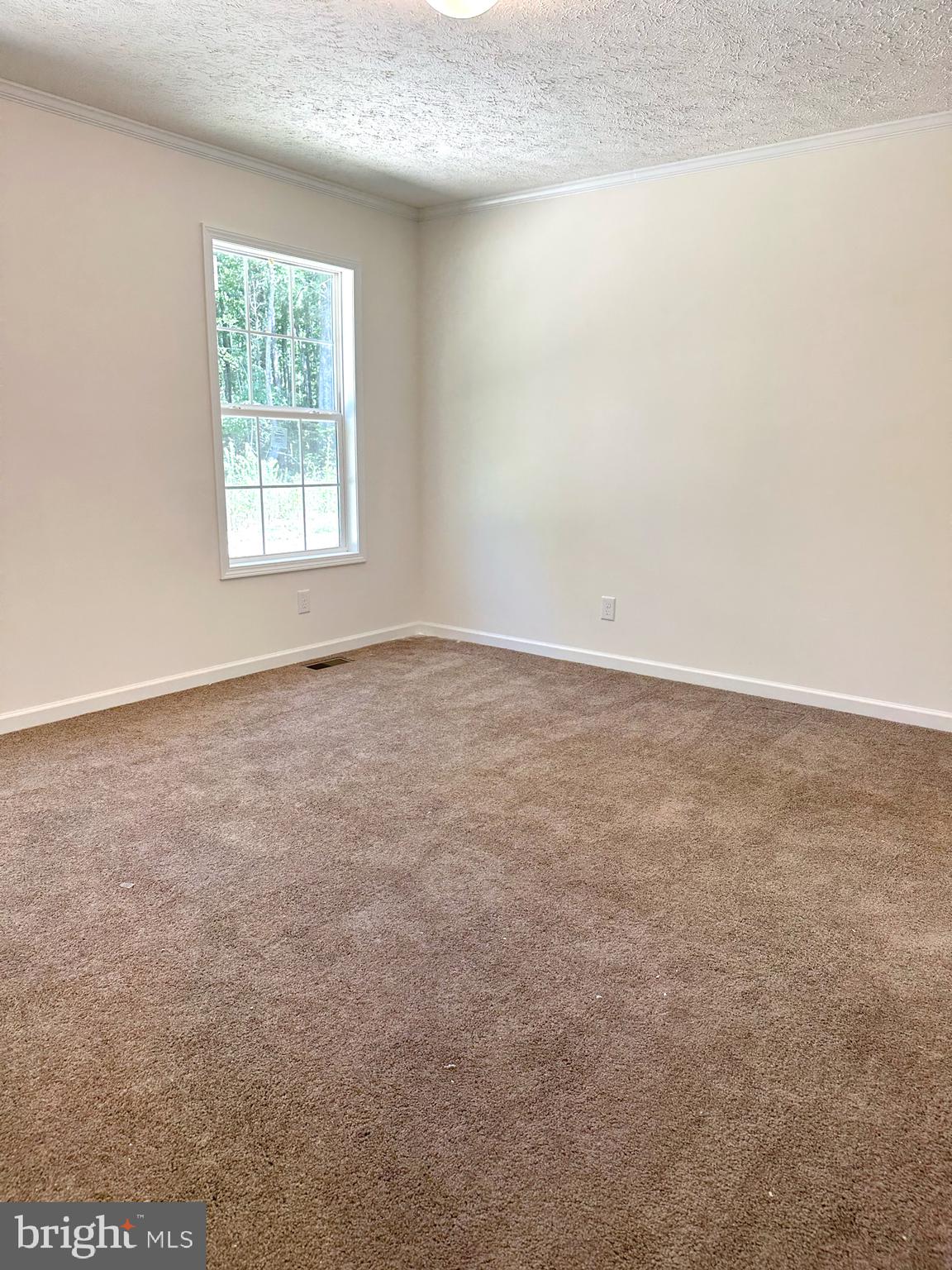 30019 Mine Run Road Locust Grove, VA 22508 - Photo 15 of 18 Gallery Image 15