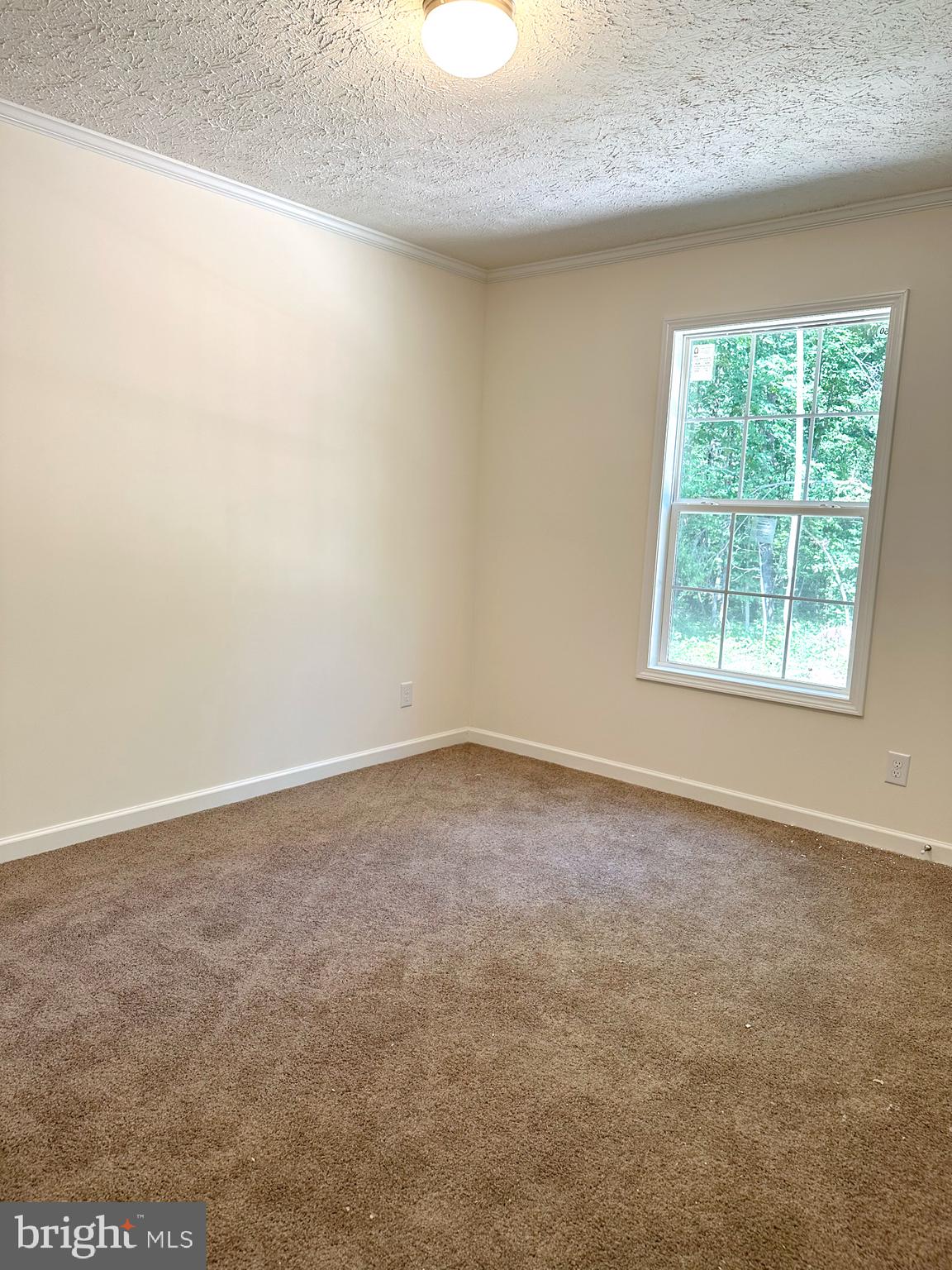 30019 Mine Run Road Locust Grove, VA 22508 - Photo 16 of 18 Gallery Image 16