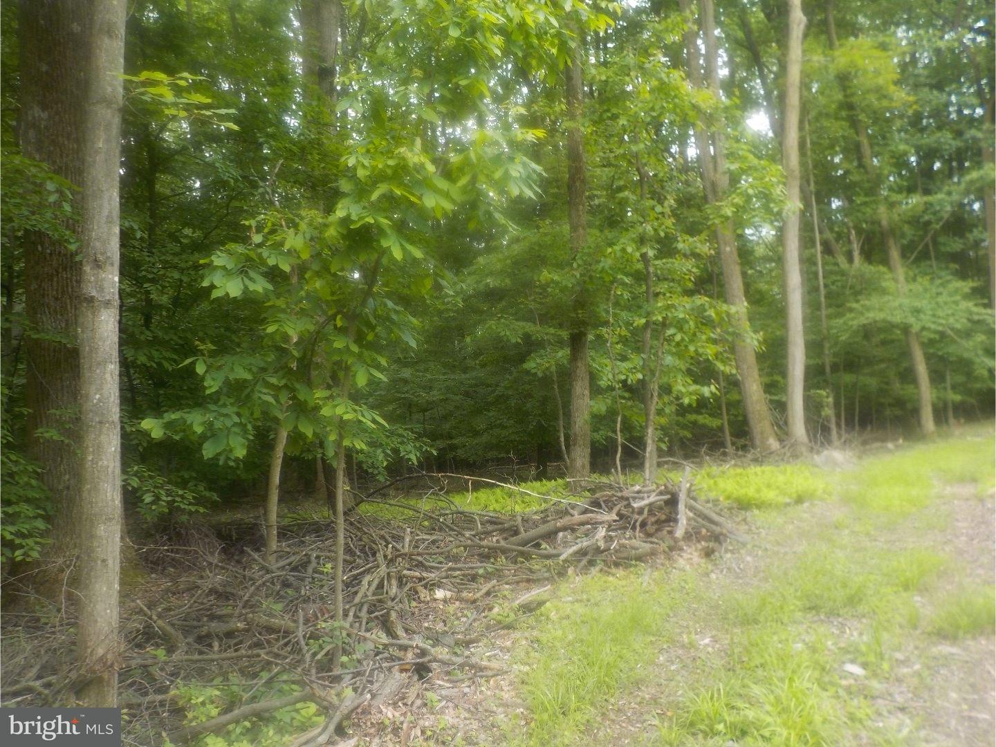 0 Weidner Road Oley, PA 19547 - Photo 9 of 9 Gallery Image 9