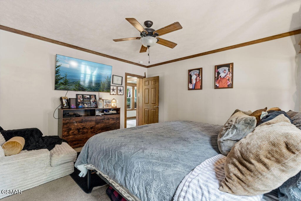 704 Mize Road Seymour, TN 37865 - Photo 24 of 47 Gallery Image 24
