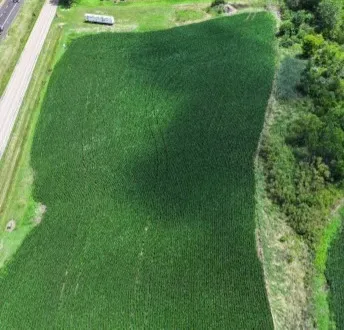 a view of a lush green space