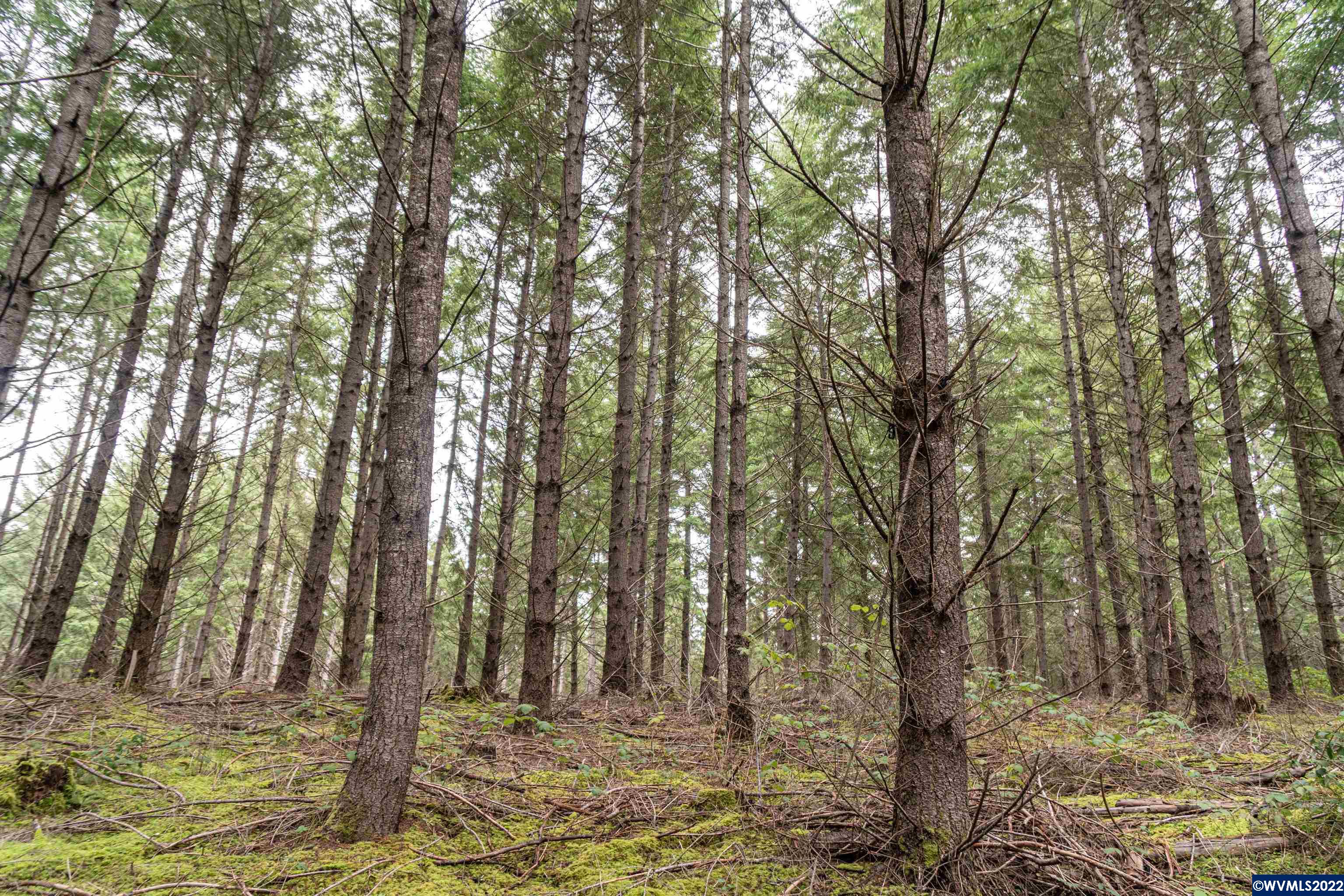 Na Foster Road Monroe, OR 97456 - Photo 23 of 32 Gallery Image 23