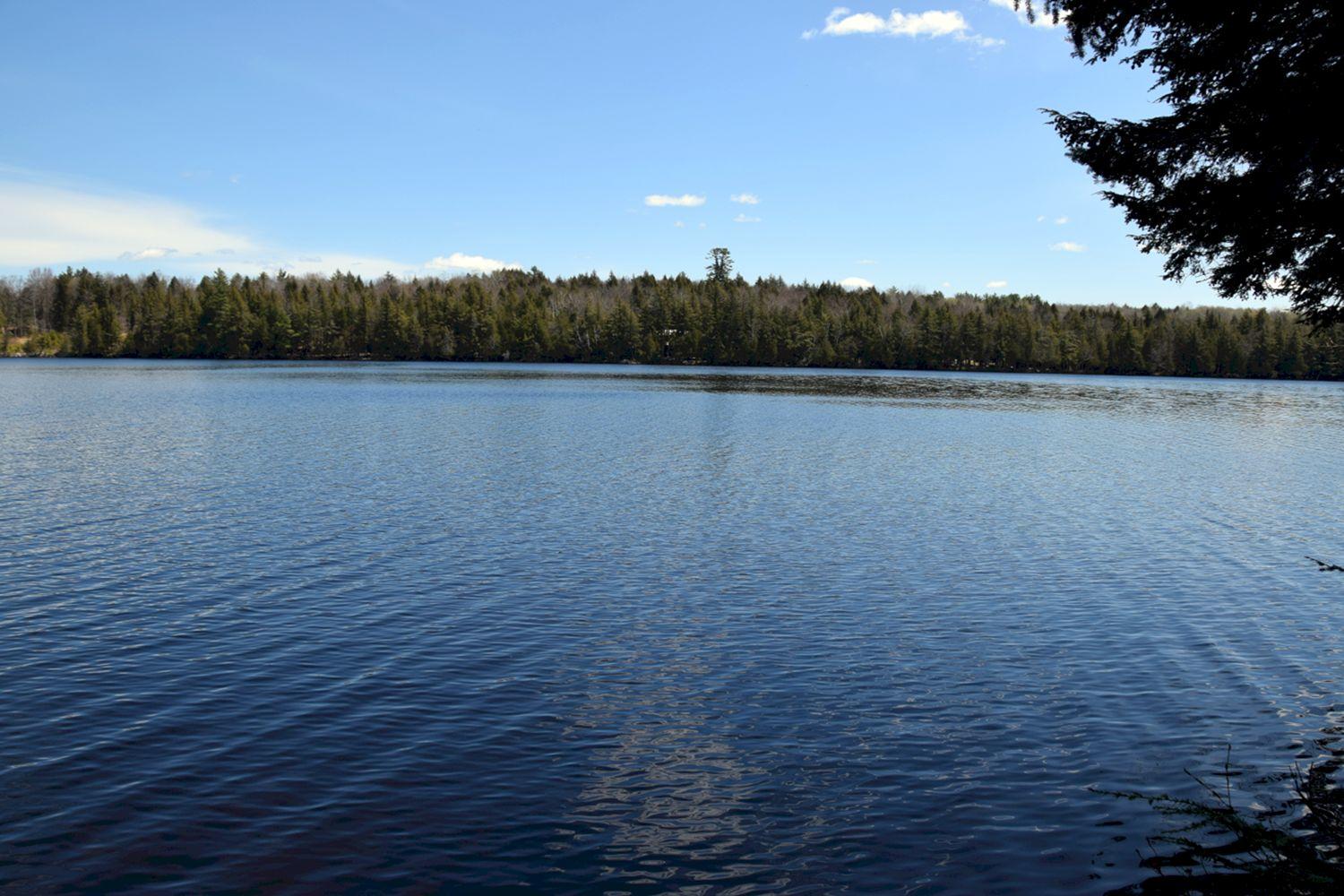 M34-l36 Loon Road Embden, ME 04958 - Photo 20 of 27 DSC_0043