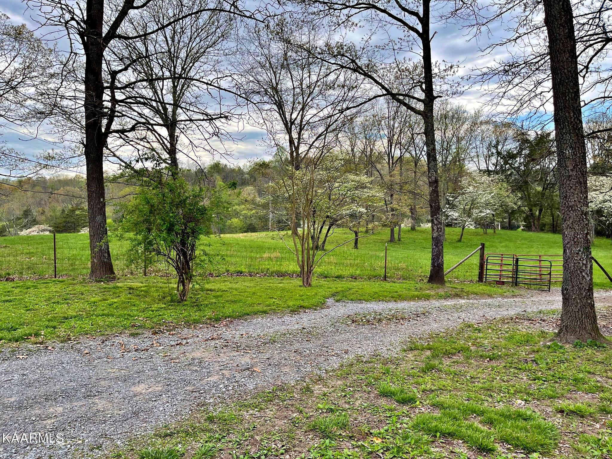 180 Shoemaker Lane Decatur, TN 37322 - Photo 13 of 60 340641368_127745296866193_79852794822531