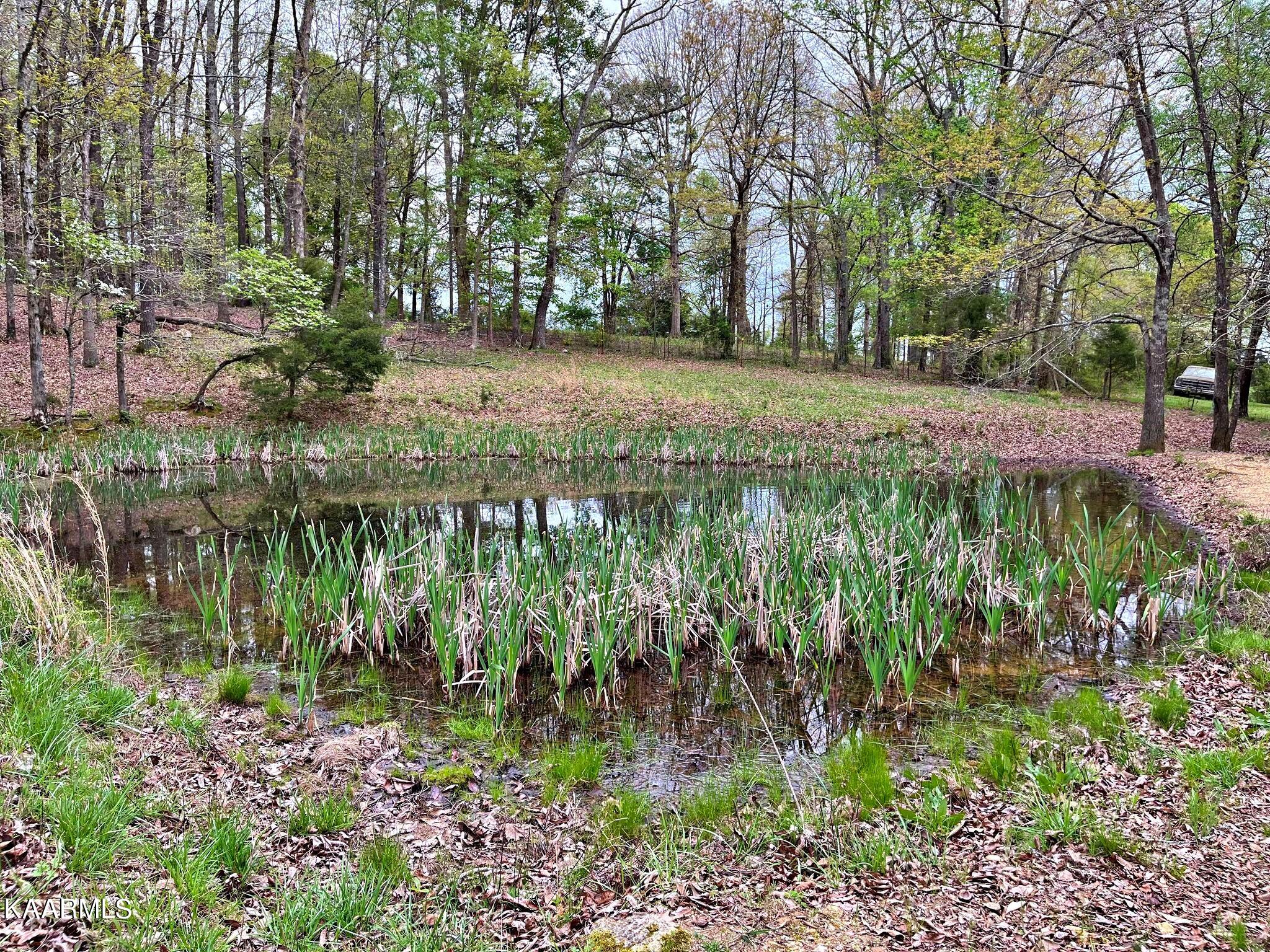 180 Shoemaker Lane Decatur, TN 37322 - Photo 14 of 60 340638027_245603661163074_81501809039963