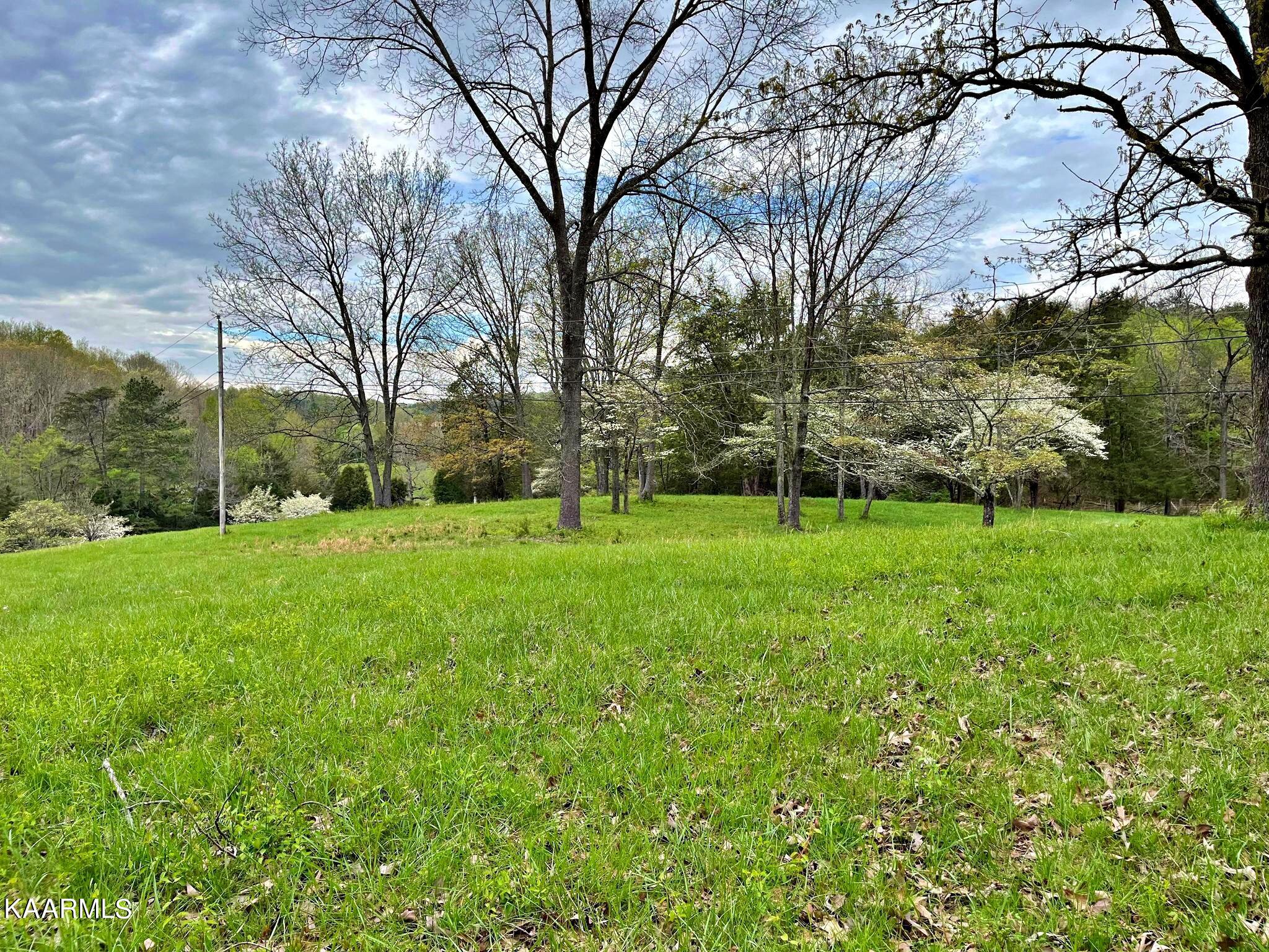 180 Shoemaker Lane Decatur, TN 37322 - Photo 16 of 60 340649040_184796354405756_46340544534804